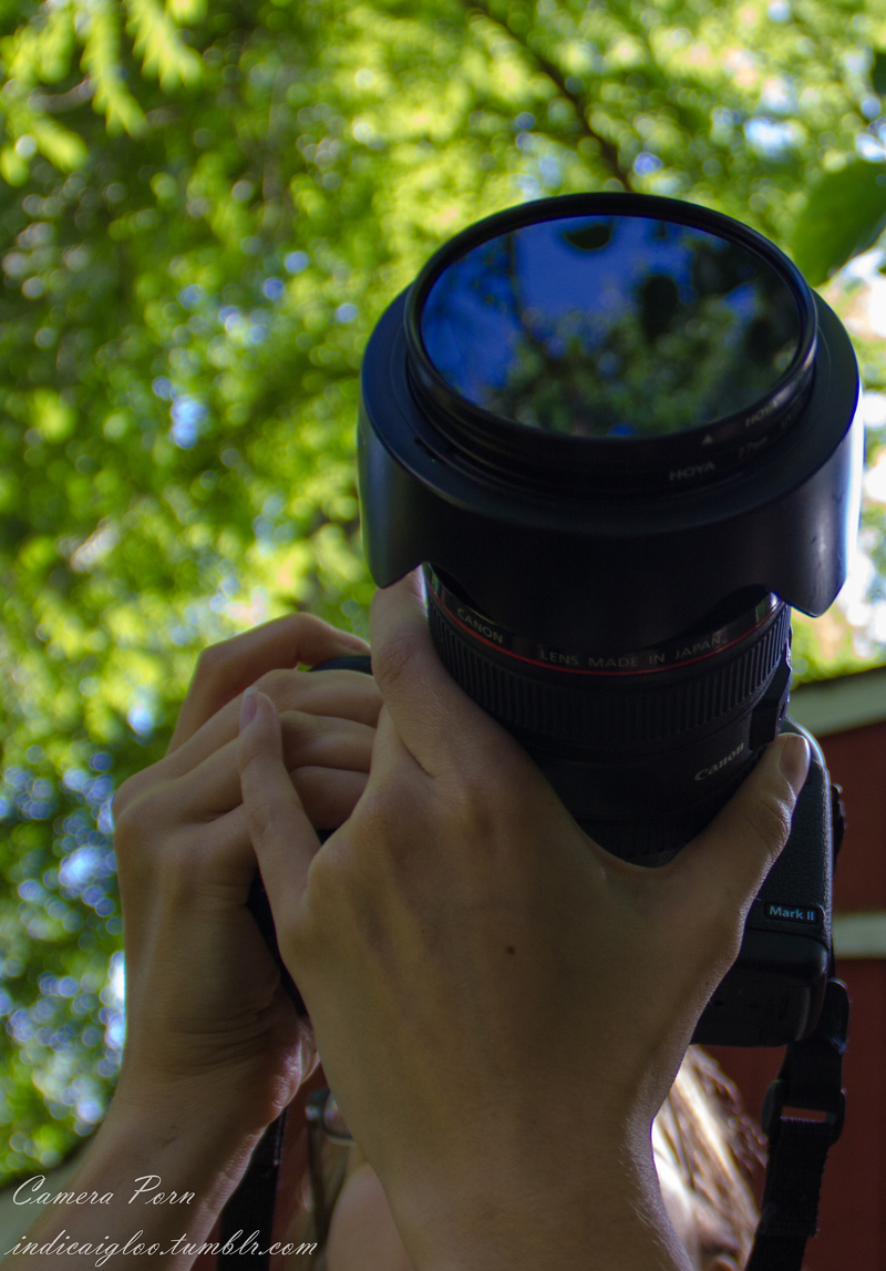 Illustration for article titled Camera Porn (In One Giant Post)